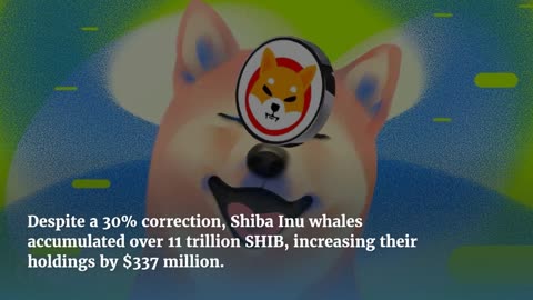 This Is Why Shiba Inu (SHIB) Is Posed for a 16% Rally