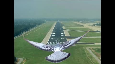 Timed Perfectly