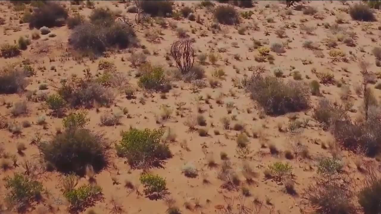 nature of australia