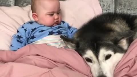 Dogs can coax children