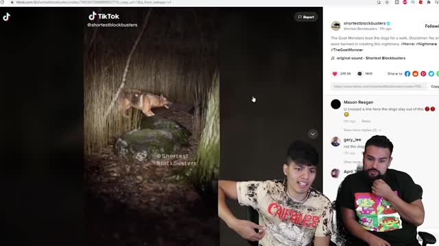 Scary Tik Toks That Will Leave You Scared