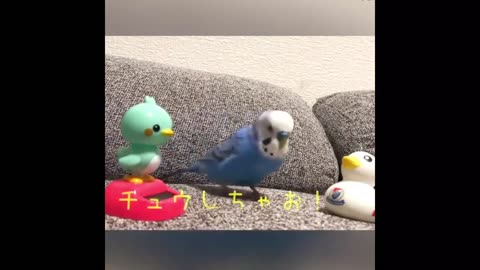 Funny Birds Video Compilation 2023 Viral