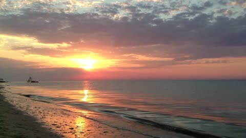 Who Do You Plan To Call ?