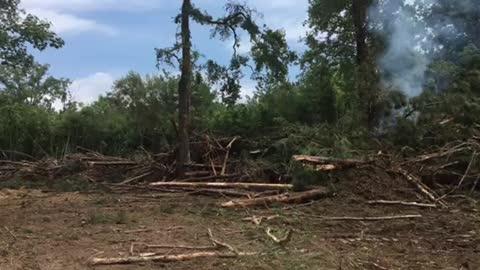 Cabin land clearing