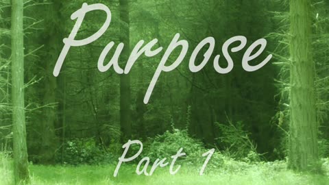 Our Purpose - part 1