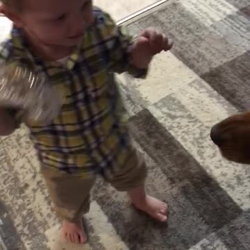 Toddler And Golden Retriever Play Tug-Of-War With Plastic Bottle