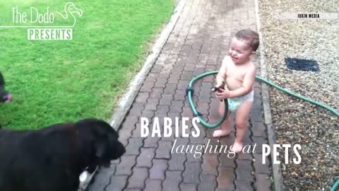 Funny babies & pets