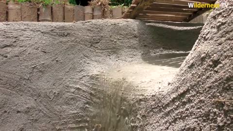 A man rescued puppies living in the mud