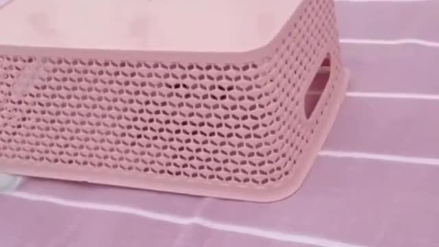 GATOS FOFOS E MUITO GOSTOSINHOS