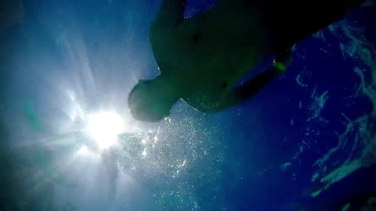 People Swimming On A Sunny Day