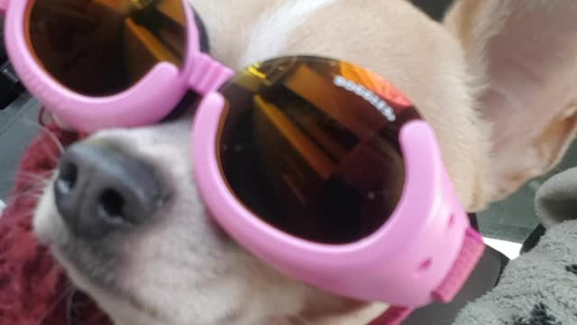 Lil' Ru and her New Specs