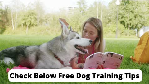 Free Dog Training Guide