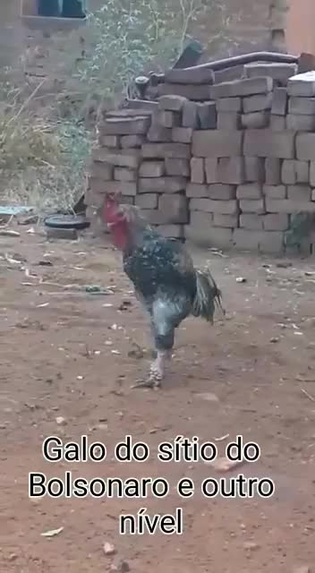 Military cock is another level hahahaha