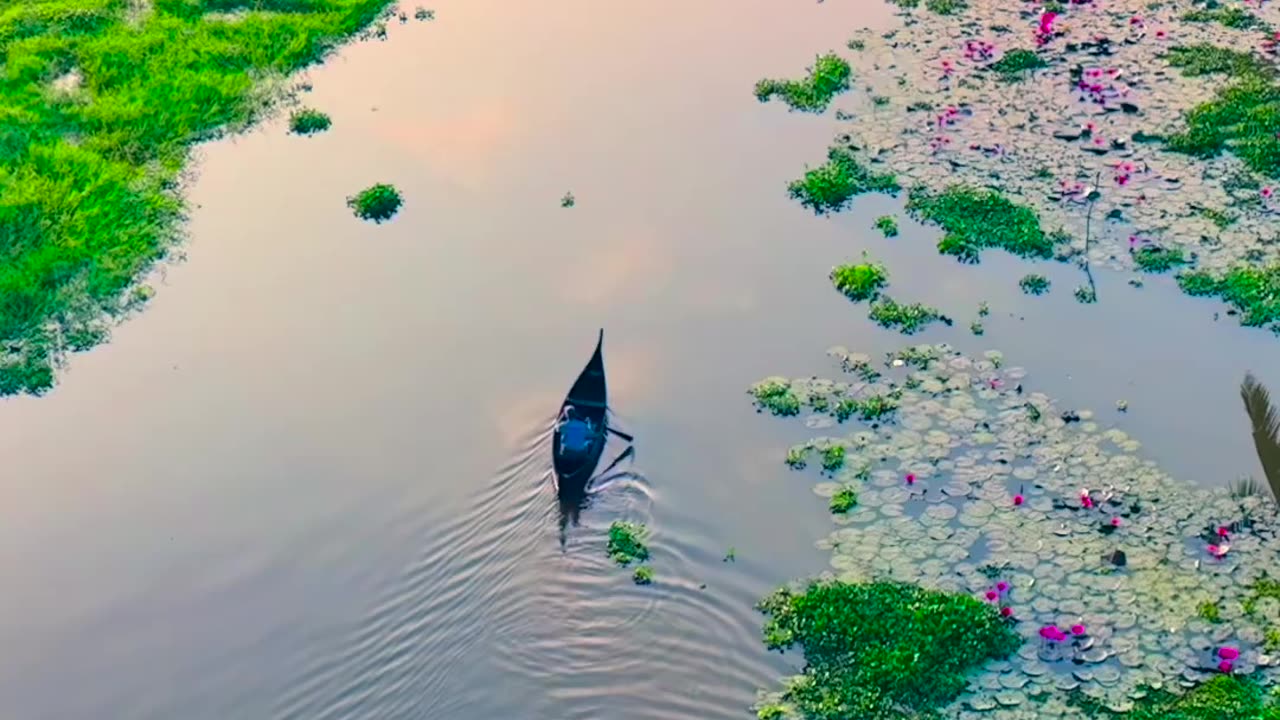 Bangladesh Natural View