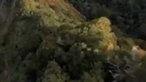 Beautiful 😍forest 🥺fullscreen status Wanderful nature watch full video 🥰
