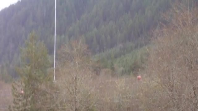 Clearing Limbs From Around The Powerline