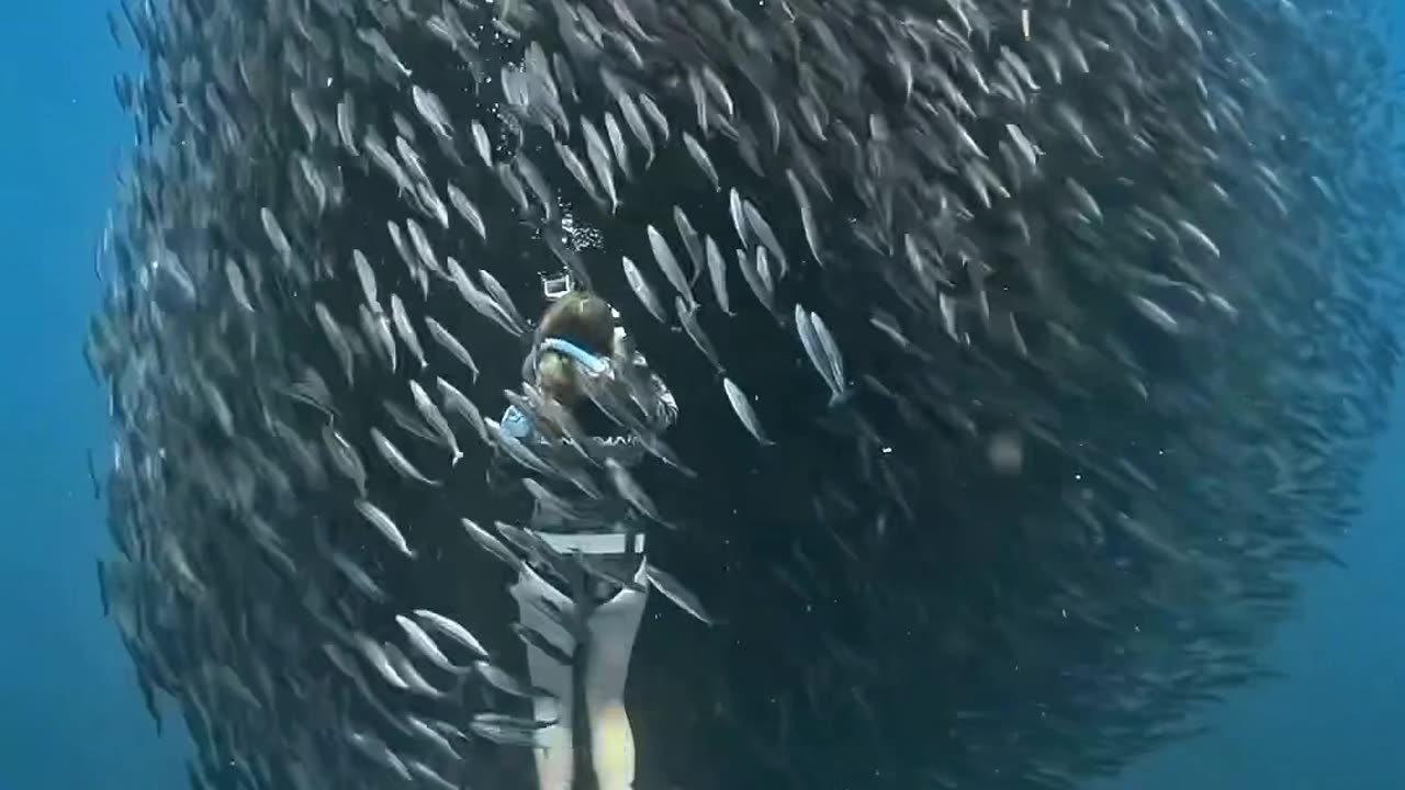 Satisfying Underwater Beauty 💓 #shorts