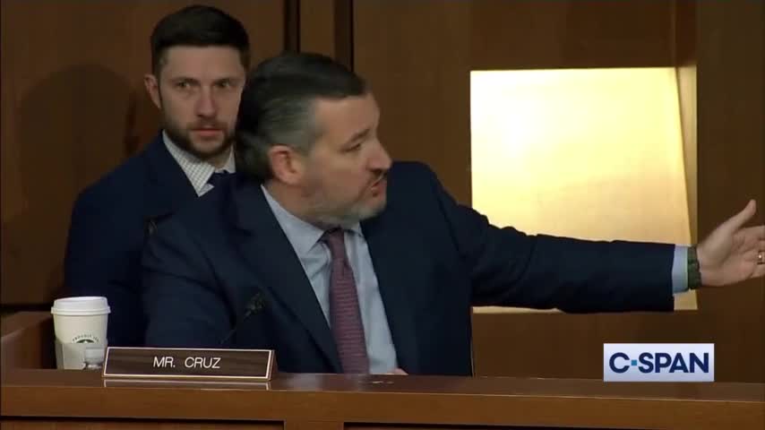 WATCH: Ted Cruz Questioned the FBI About Their Role In The January 6 Riot.