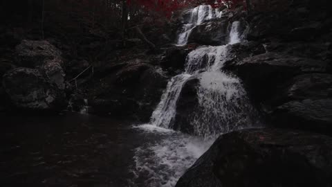 Forest Waterfall Ambience sounds