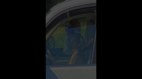 Cervelli fritti dalla propaganda di regime