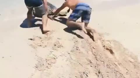 This is a beautiful and charming water-dwelling species