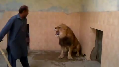 Man fight with lions