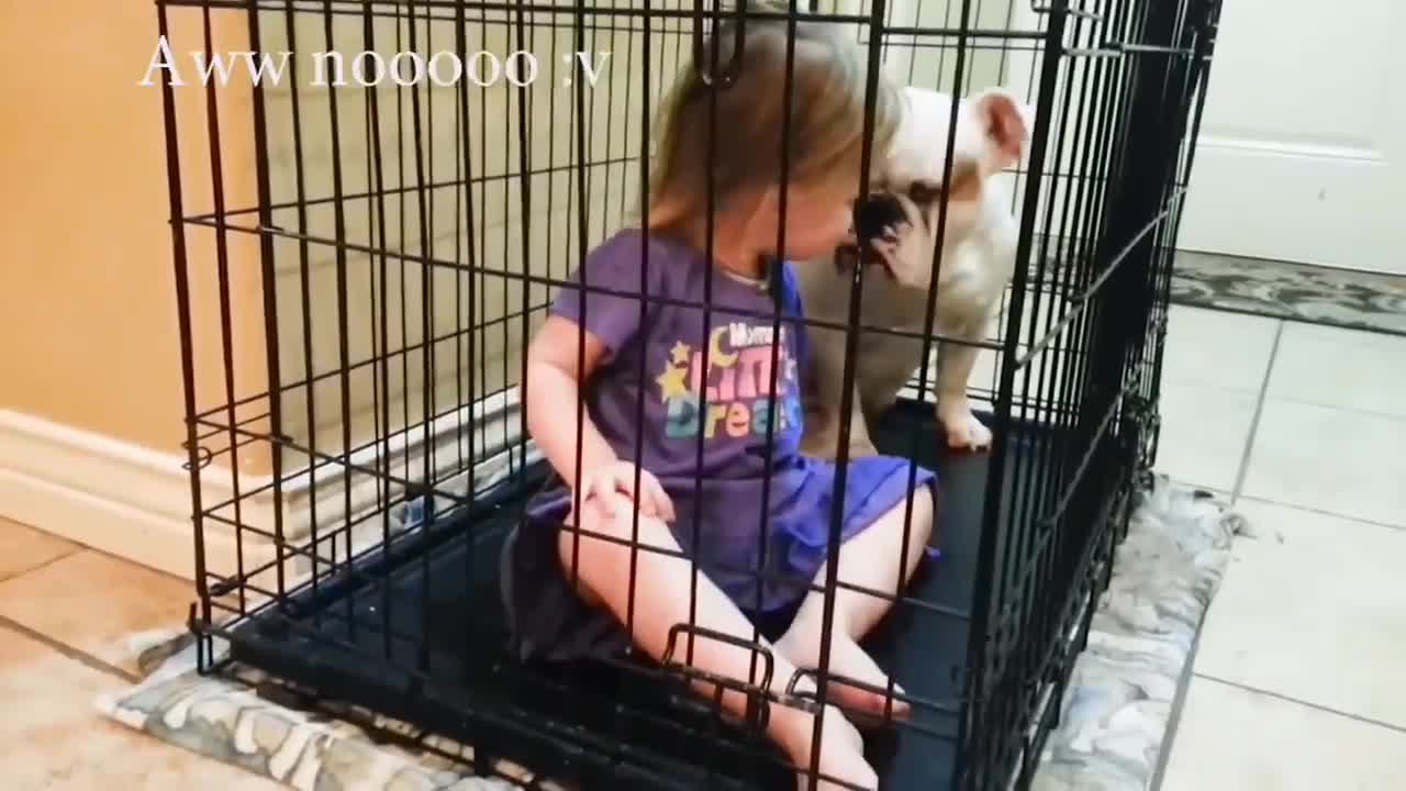 Funny dog ll small baby fun with dog ll dog ll cut dog