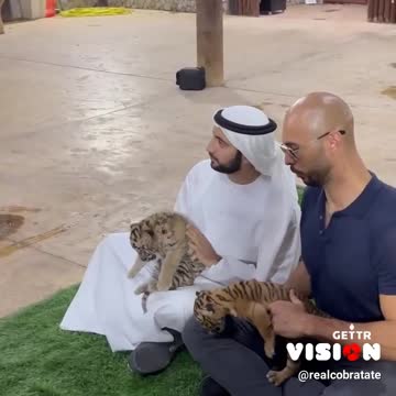 ANDREW TATE IN DUBIE