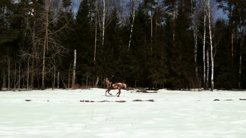 female cowboy rides a horse at a gallop in winter