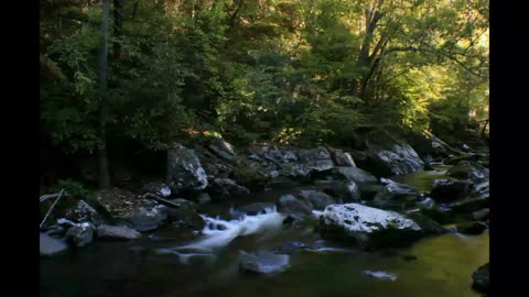 Biltmore & Smokey Mountain Foothills