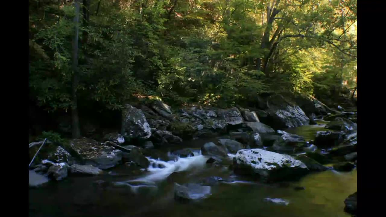 Biltmore & Smokey Mountain Foothills