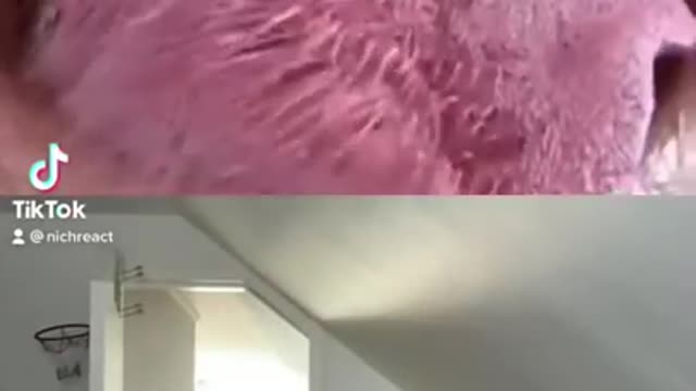 This videos will make you uncomfortable