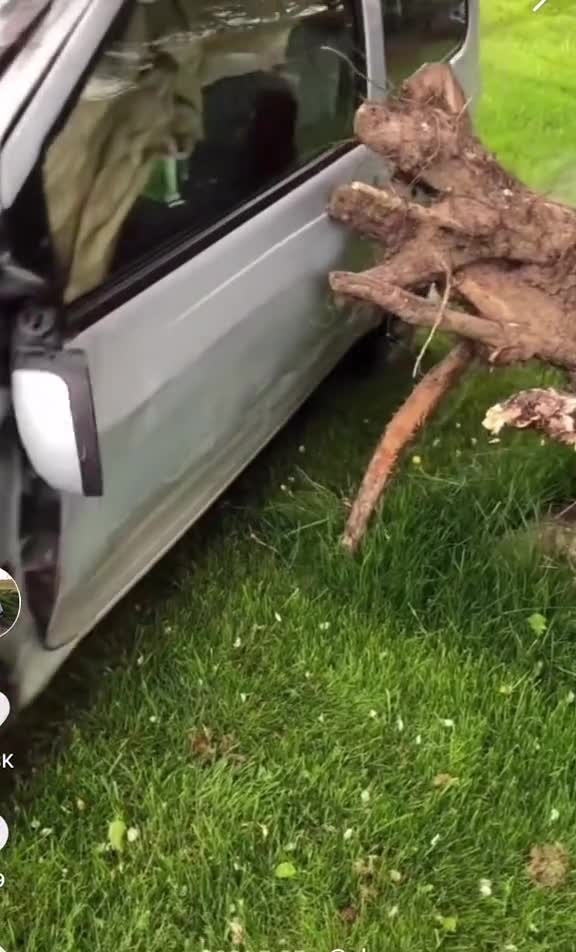 funny|prank|jokes|funny jokes|dad jokes|funny memes|funny video|fun|laughing|funny animal|knock