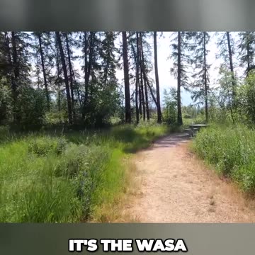 Hidden Gem of Wasa Rest Area Perfect Picnic Spot by the River