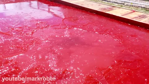 World's Largest Jello Pool- Can you swim in Jello?