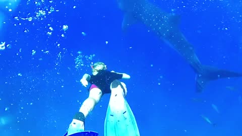 #fish #shorts