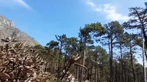 Meditation REINDEER Park.