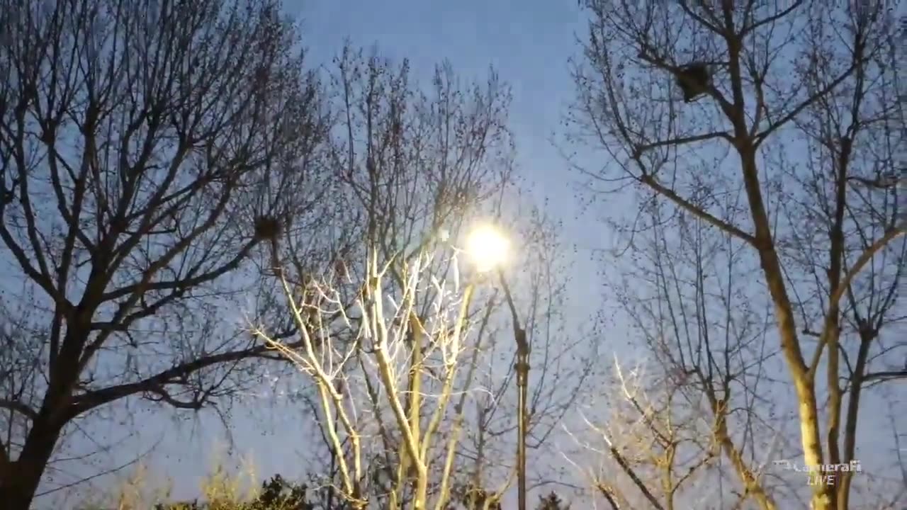 20200415_V3_S01(ItRCJxaWIE0)청와대 앞 새벽 까치소리는 4.15총선 승리를 의미하는 것인가_