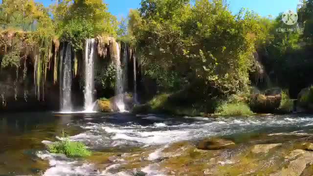 Relaxing Music with Nature & Jungle Sound | For Sleeping, Peace