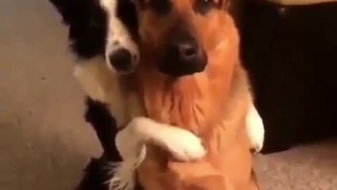 Hugs are rewarded