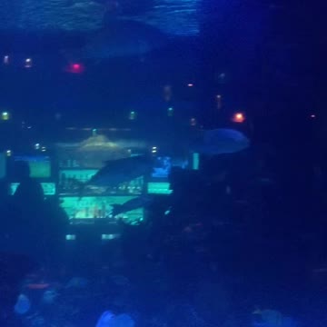 Downtown Aquarium in 2016