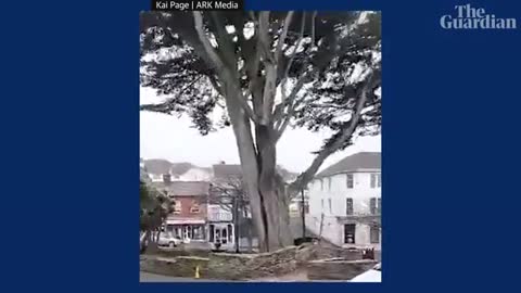 Storm Eunice brings down a large tree in Cornish town centre_ 'I caught that on