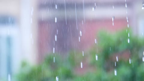 4k Rainy Day Ground Rain Real Shot Video