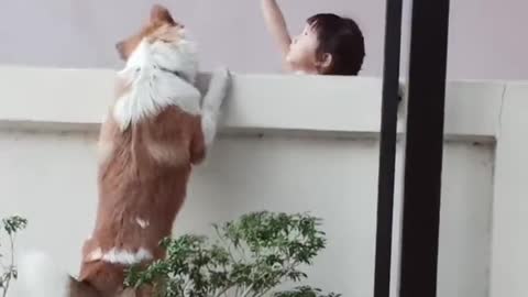 Girl and Doggo Are a Pair of Fence-Side Friends