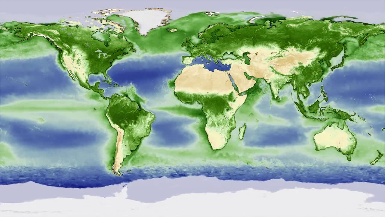 Animation: Shows earth 'breathing' ( Yearly biosphere cycle )