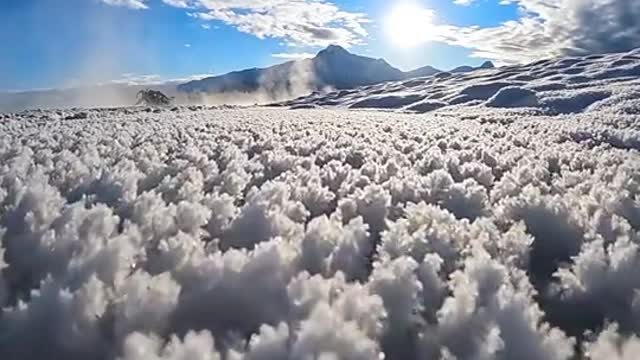 Wonder of Nature