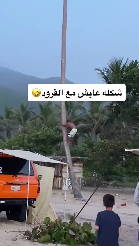 CLIMBING VERY TALL TREE WITH NOTHING