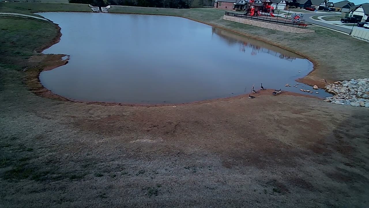 The Pond