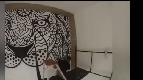 Amazing Videos | UNBELIEVABLE|