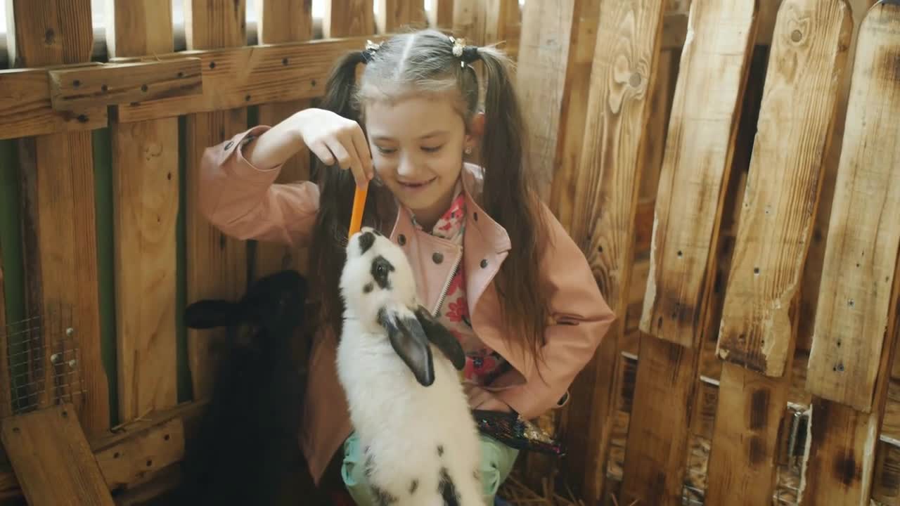 The little girl happily feeding carrots to the rabbits in the petting zoo